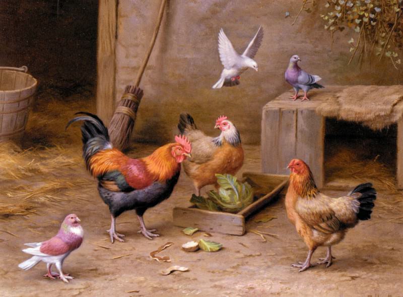 Chickens In A Farmyard. Edgar Hunt