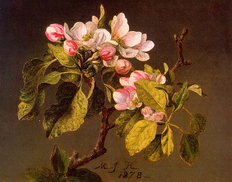 Apple Blossoms. Martin Johnson Heade