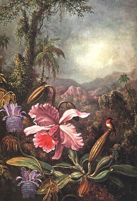 Orchids, passion flowers and hummingbirds. Martin Johnson Heade