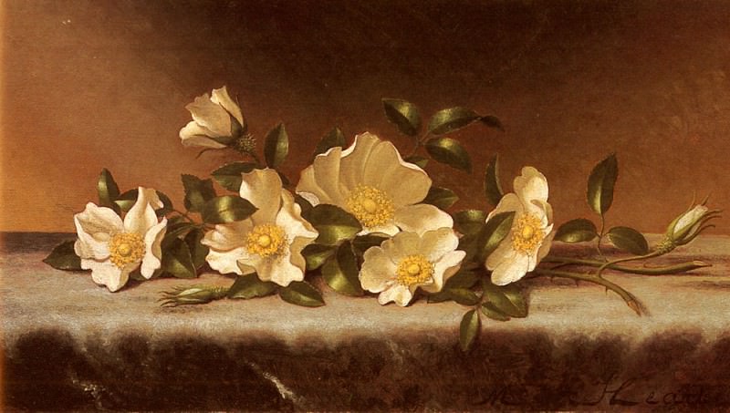 Cherokee Roses On A Light Gray Cloth. Martin Johnson Heade