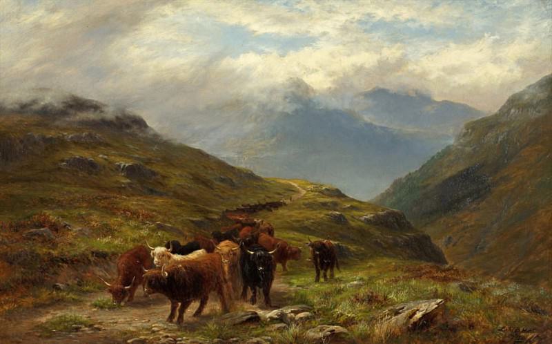 Highland Cattle- A Mountain Road near Ballachulish, Argyll. Louis Bosworth Hurt