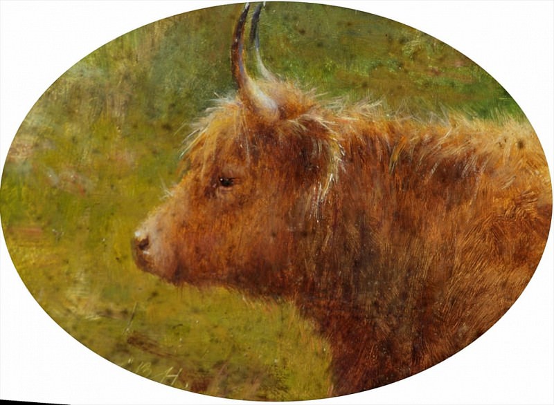 Study of a Highland Cow. Louis Bosworth Hurt