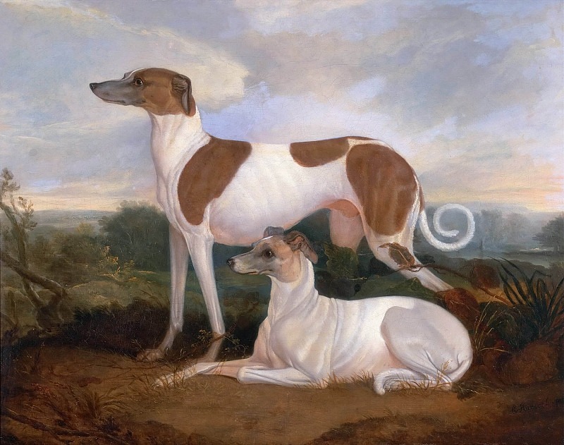 Two Greyhounds in a Landscape. Charles Hancock