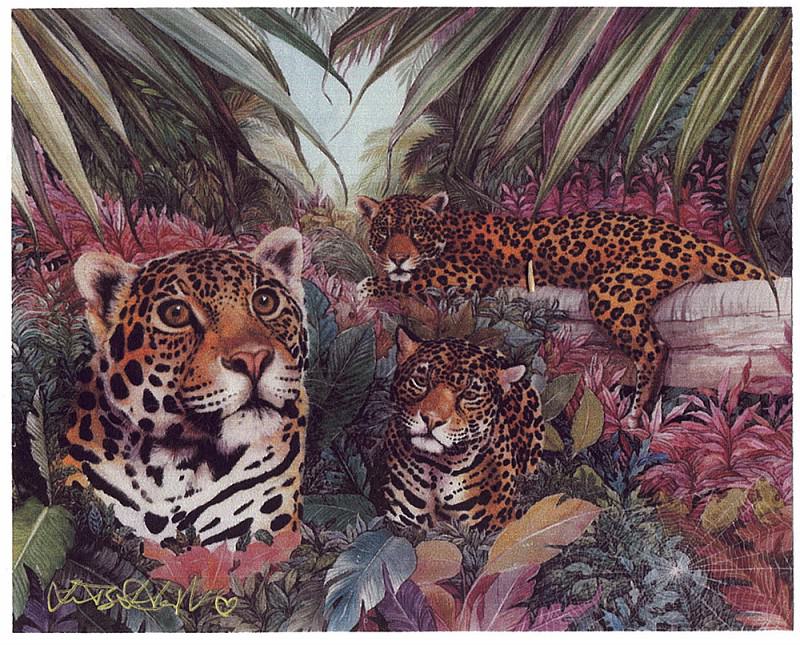 Jaguar Family. June Hart