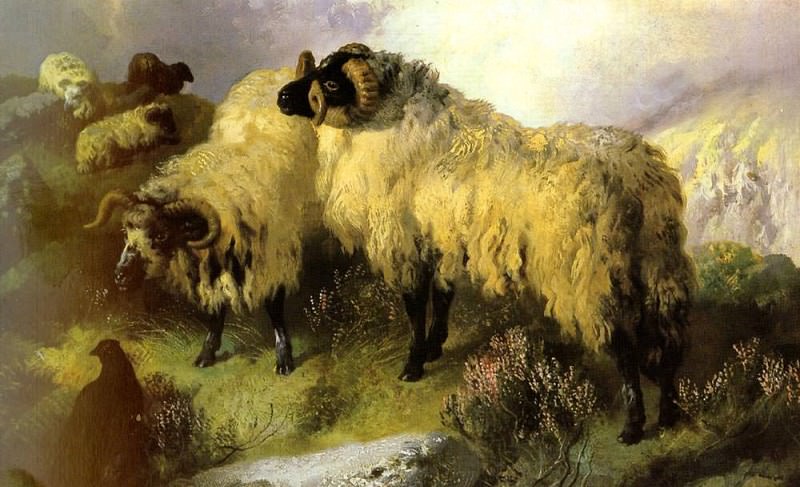 Horlor George W. Highland Scene With Sheep And Grouse. Джордж Уильям Хорлор