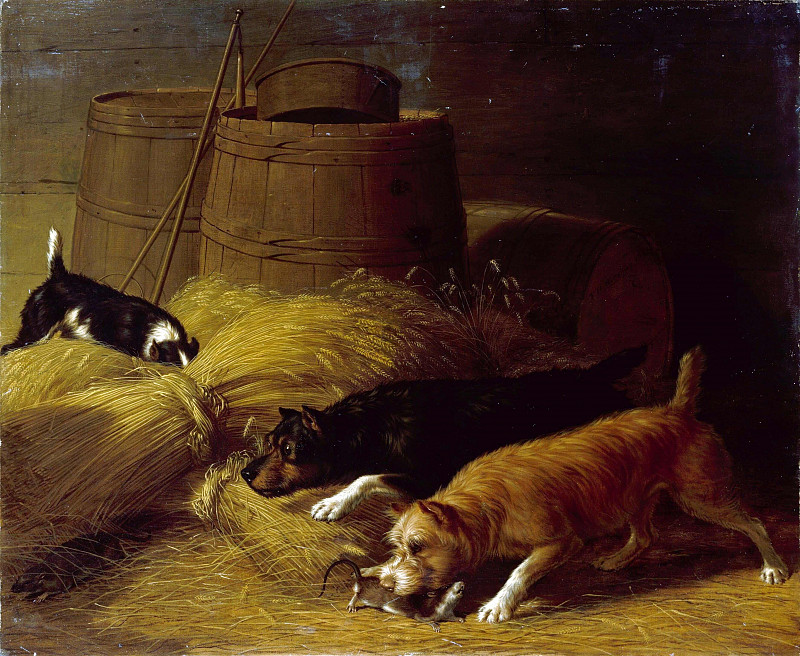 Rats amongst the Barley Sheaves. Thomas Hewes Hinckley