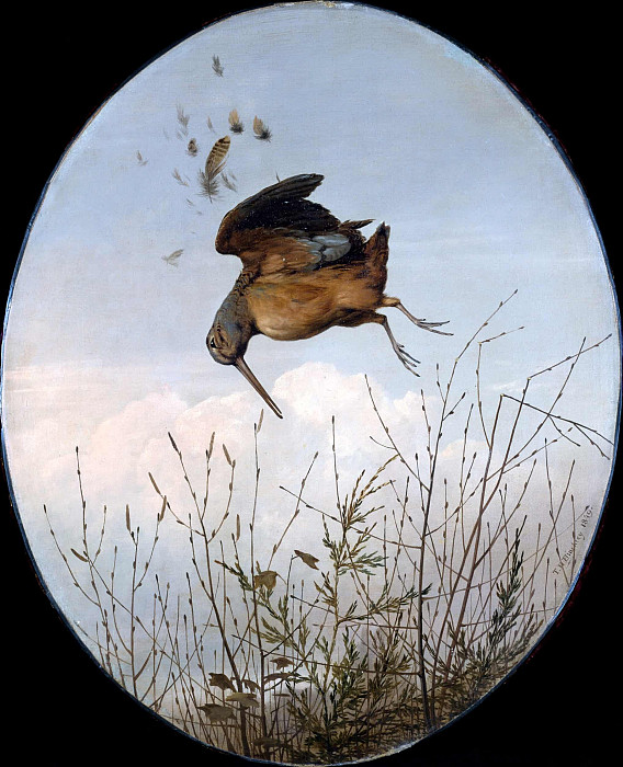 Woodcock. Thomas Hewes Hinckley