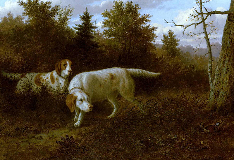 Setters and Quail. Thomas Hewes Hinckley