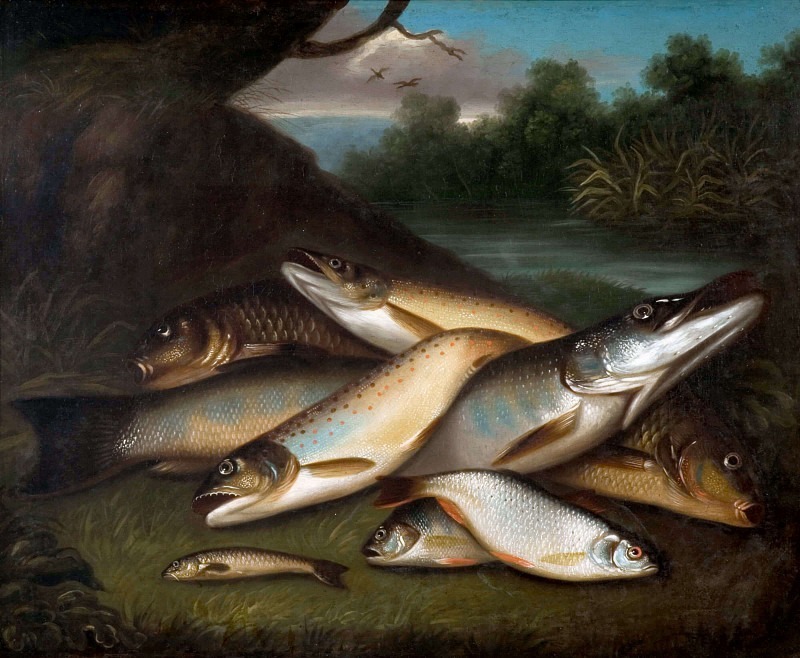 Fish. Moses Haughton