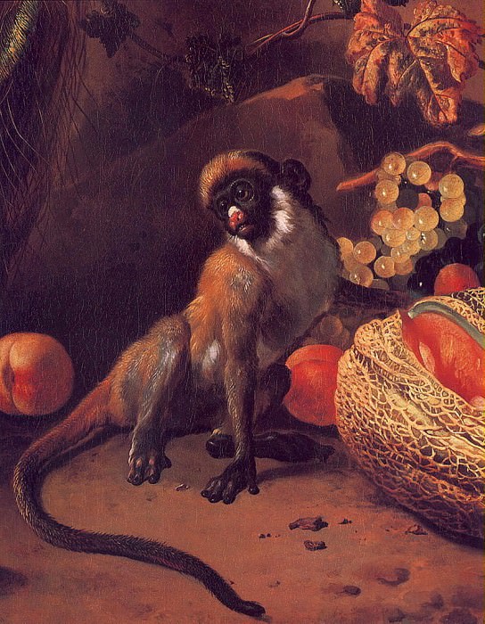 Monkey& Fruit. Melchior De Hondecoeter