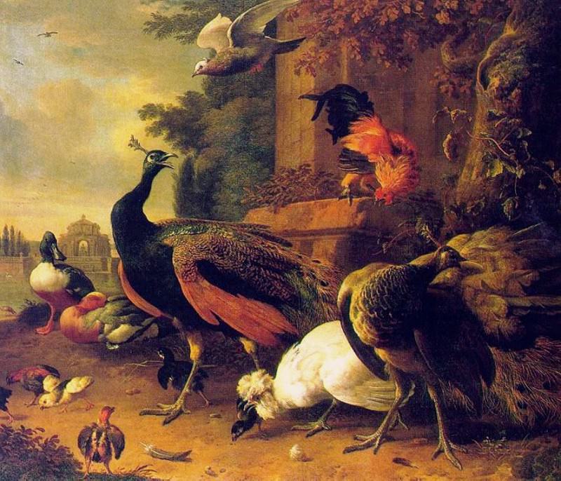 Birds. Melchior De Hondecoeter
