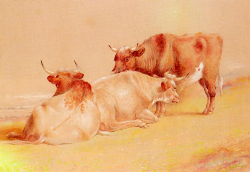 Huggins William Cattle Resting(1). Уильям Джон Хаггинс