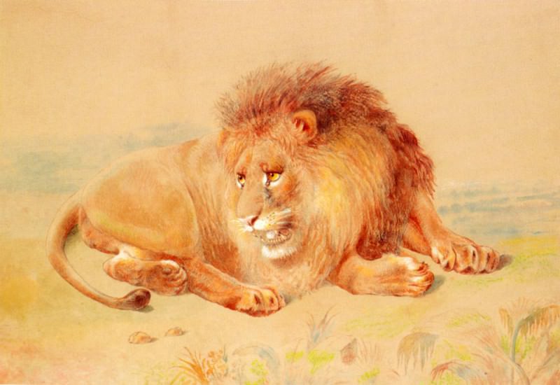 Huggins William Lion. Уильям Джон Хаггинс