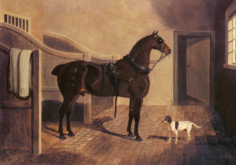 Собачонка и любимая упряжная лошадь в стойле. Джон Фредерик Херринг