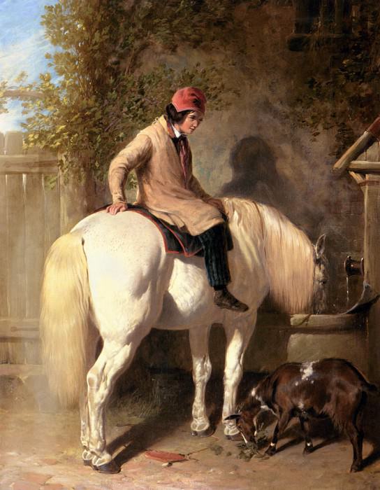 Refreshment A Boy Watering His Grey Pony. John Frederick Herring
