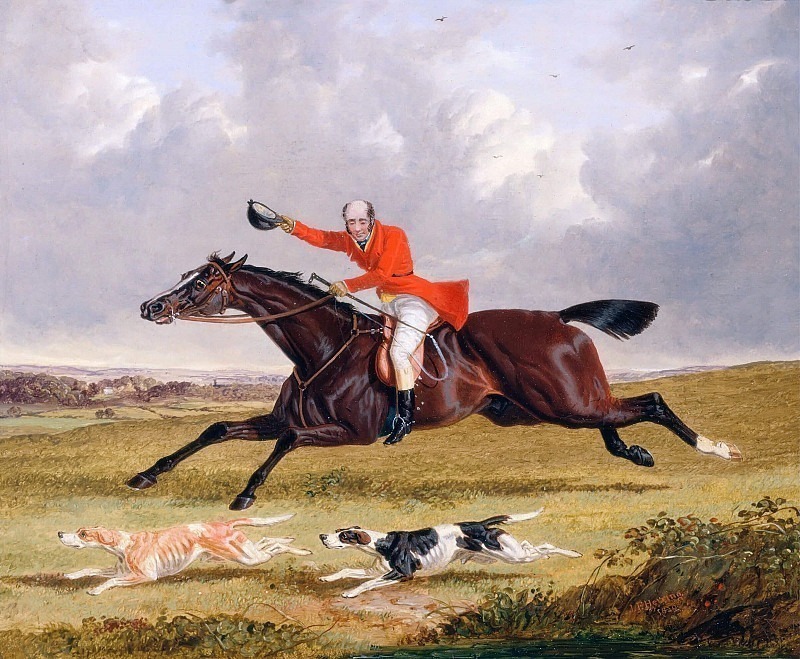 Foxhunting- Encouraging Hounds