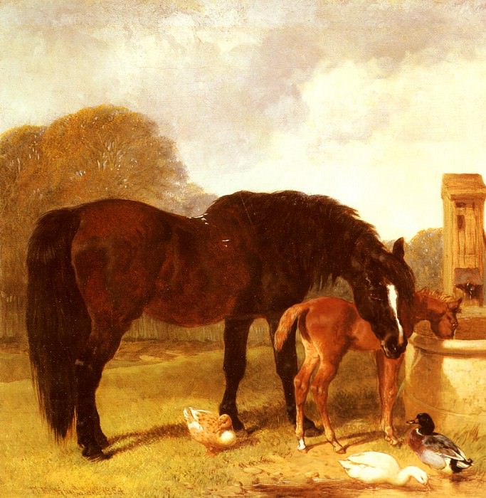 Horse And foal Watering At A Trough. John Frederick Herring