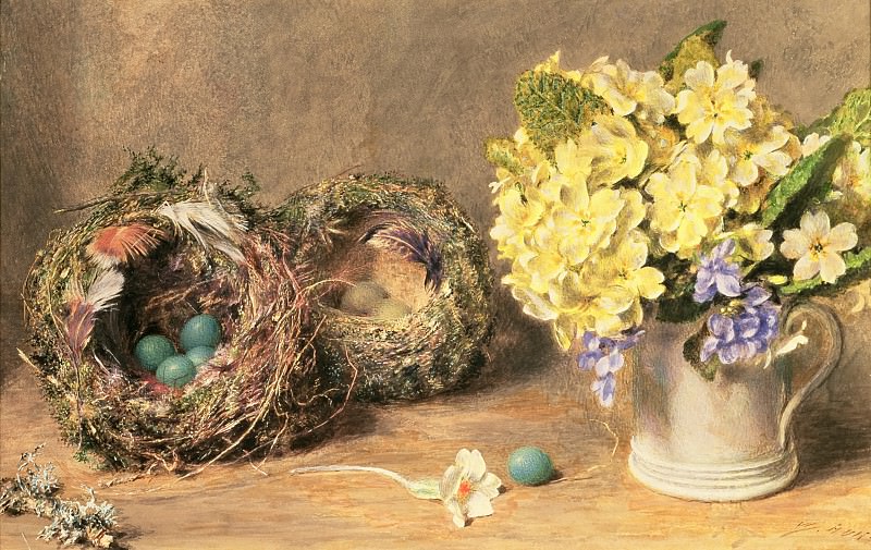 Spring Flowers and Birds’ Nests. William Henry Hunt