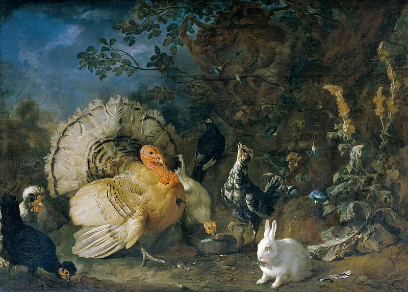 Domestic poultry and rabbits; Hausgeflügel und Kaninchen. Franz Werner von Tamm