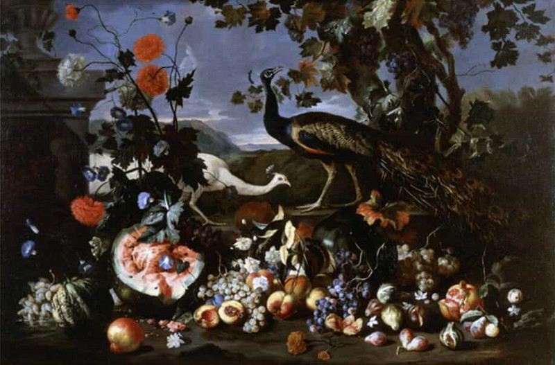 A Peacock and a Penhen with Fruit and Flowers in a Park. Franz Werner von Tamm