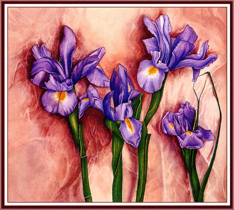 bs-flo- Carol Inouye- Japanese Irises. Кэрол Иноуэ