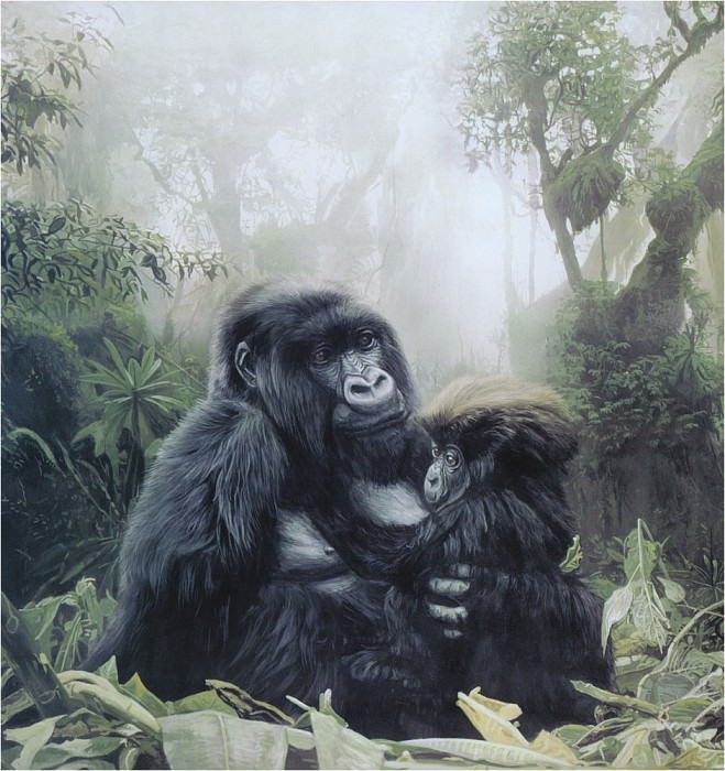 Gorillas Refuge ec. Terry Isaac