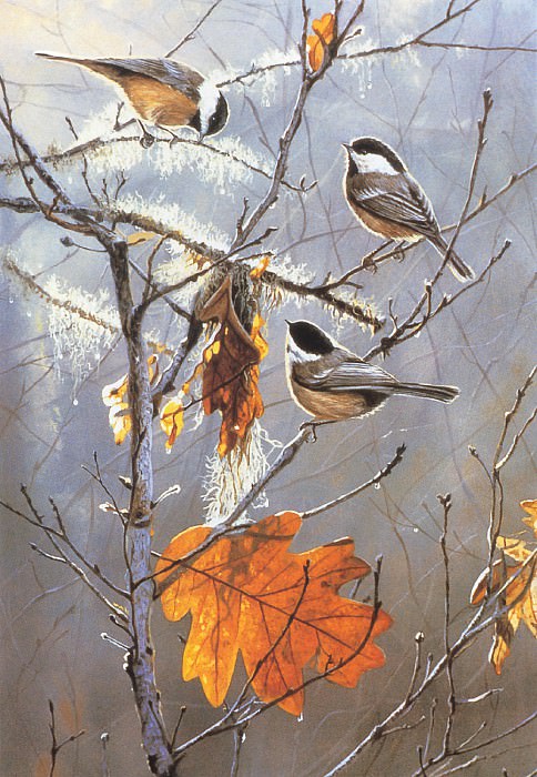 Fall Foragers. Terry Isaac