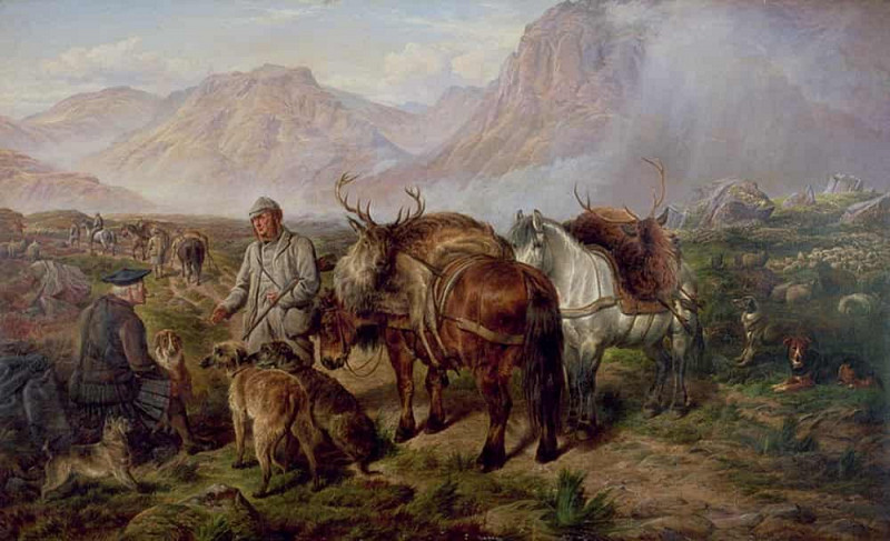 Возвращение оленя домой. Чарльз Джонс