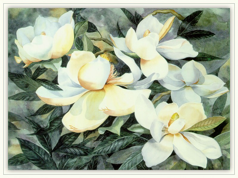 Magnolias. Louise Jackson