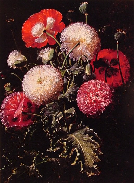 Still Life with Pink Red and White Poppies. Johan Laurentz Jensen