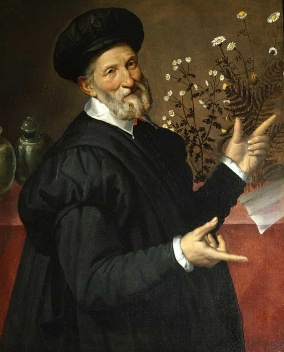 The Botanist. Bartolomeo Passarotti