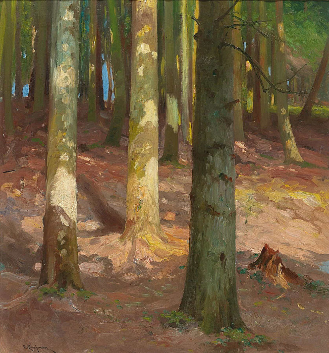 Forest; Wald. Adolf Kaufmann
