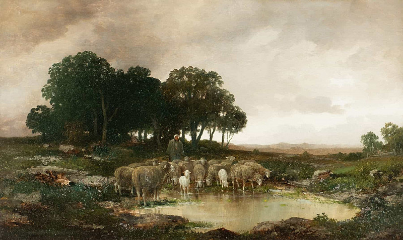 Sheep in rainy landscape. Adolf Kaufmann