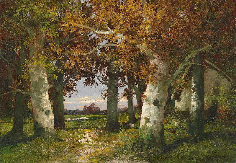Forest landscape; Waldlandschaft. Adolf Kaufmann