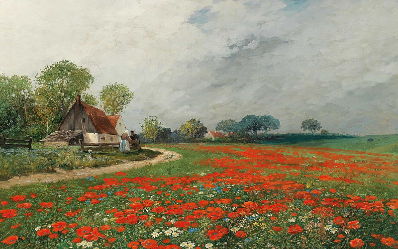 A Poppy Field with Daisies. Adolf Kaufmann