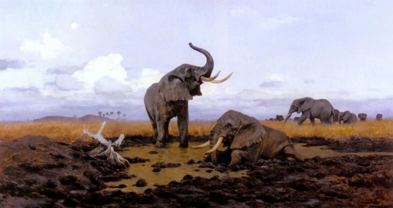 Kuhnert Wilhelm In The Twilgiht Elephants. Вильгельм Кухнерт