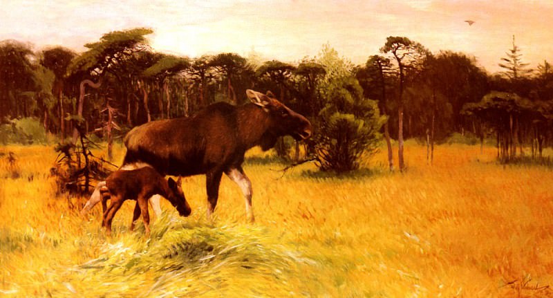Kuhnert Wilhelm Moose With Her Calf In A Landscape. Вильгельм Кухнерт