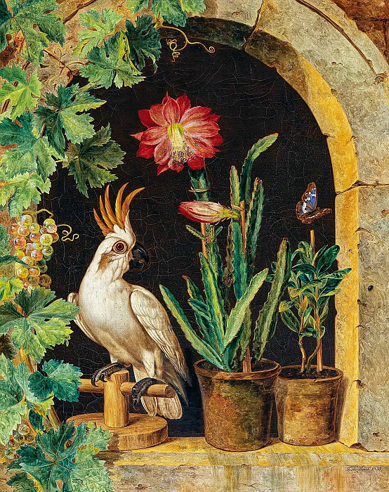 Какаду у окна с цветущим кактусом и бабочкой. Фердинанд Кюсс