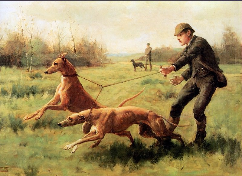 Training of greyhounds. George Goodwin Kilburne
