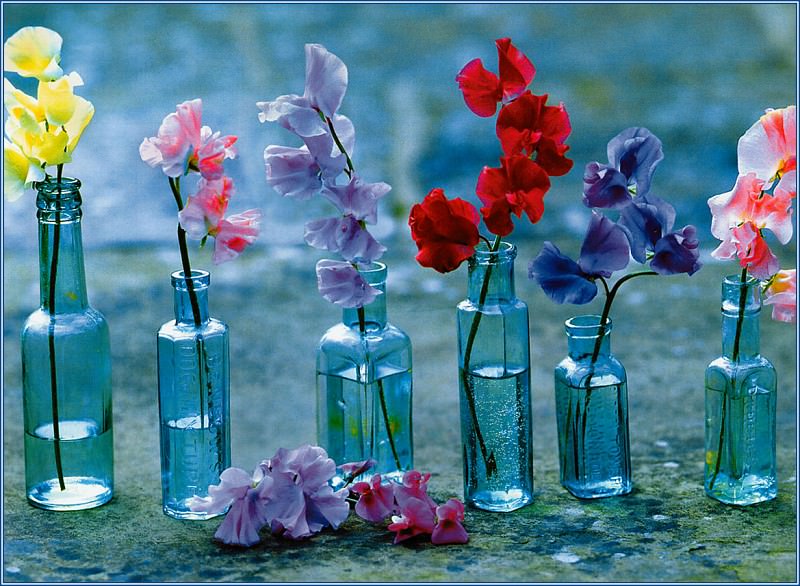 Beautiful Florals. Simon Kayne