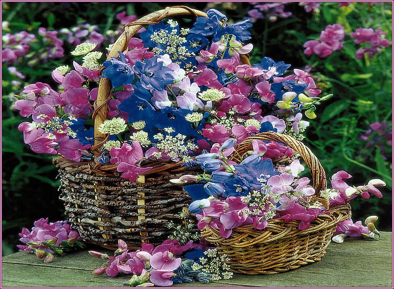 Beautiful Florals. Simon Kayne