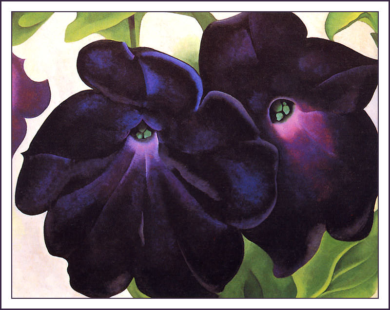 bs-flo- Georgia O Keefe- Black And Purple Petunias. Джорджия O Киф