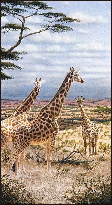 kb Kelley Rick-Giraffes in Serengeti. Rick Kelley