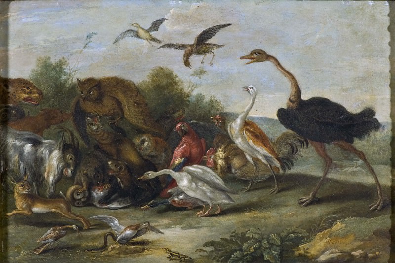 Битва между совами и четвероногими. Ян ван Кессель