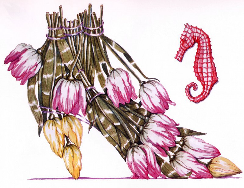 Tulip & Sea Horse. Dennis Kyte