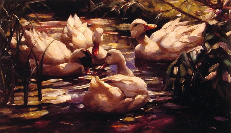 Ducks in a Forest Pond. Alexander Koester