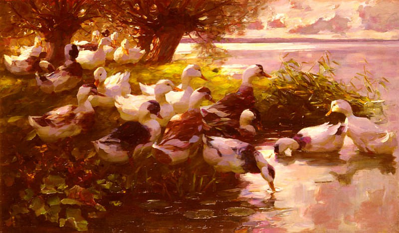 Max Ducks On A Lake. Alexander Koester