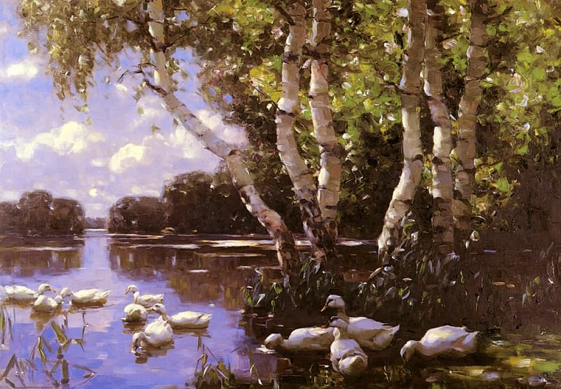 Elf Enten Unter Birken Und Im Wasser. Alexander Koester