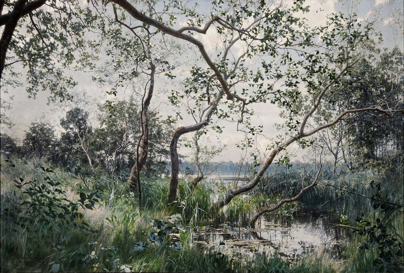 Water Vegetation. Motif from Östergötland. Johan Krouthén