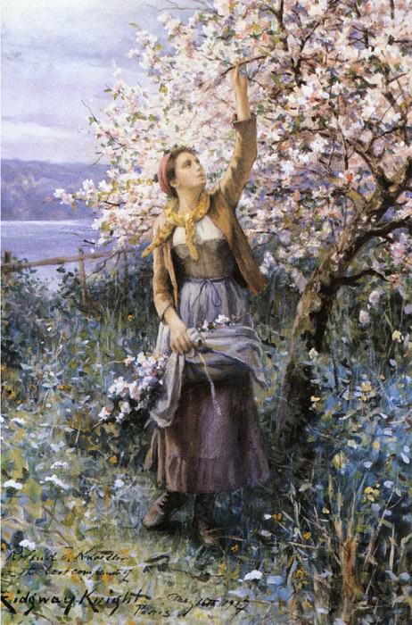 Gathering Apple Blossoms. Daniel Ridgway Knight